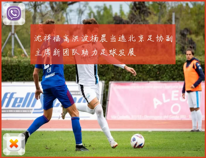 沈祥福高洪波杨晨当选北京足协副主席新团队助力足球发展