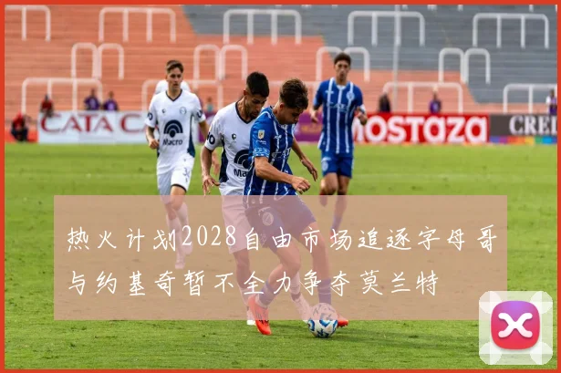 热火计划2028自由市场追逐字母哥与约基奇暂不全力争夺莫兰特