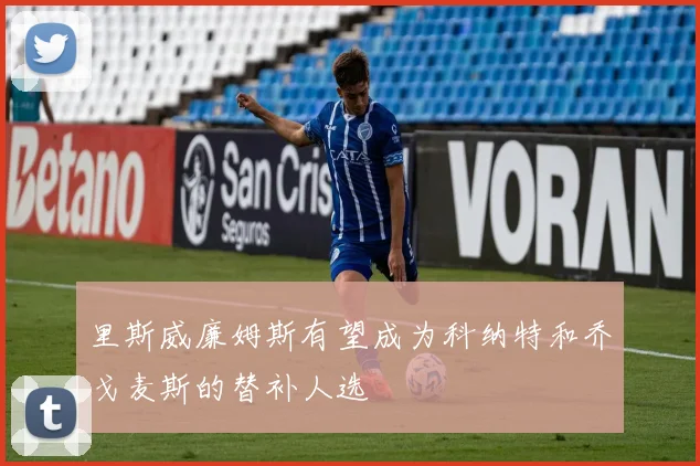 里斯威廉姆斯有望成为科纳特和乔戈麦斯的替补人选