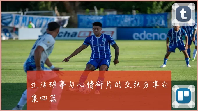 生活琐事与心情碎片的交织分享合集四篇