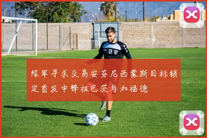 绿军寻求交易安芬尼西蒙斯目标锁定首发中锋祖巴茨与加福德